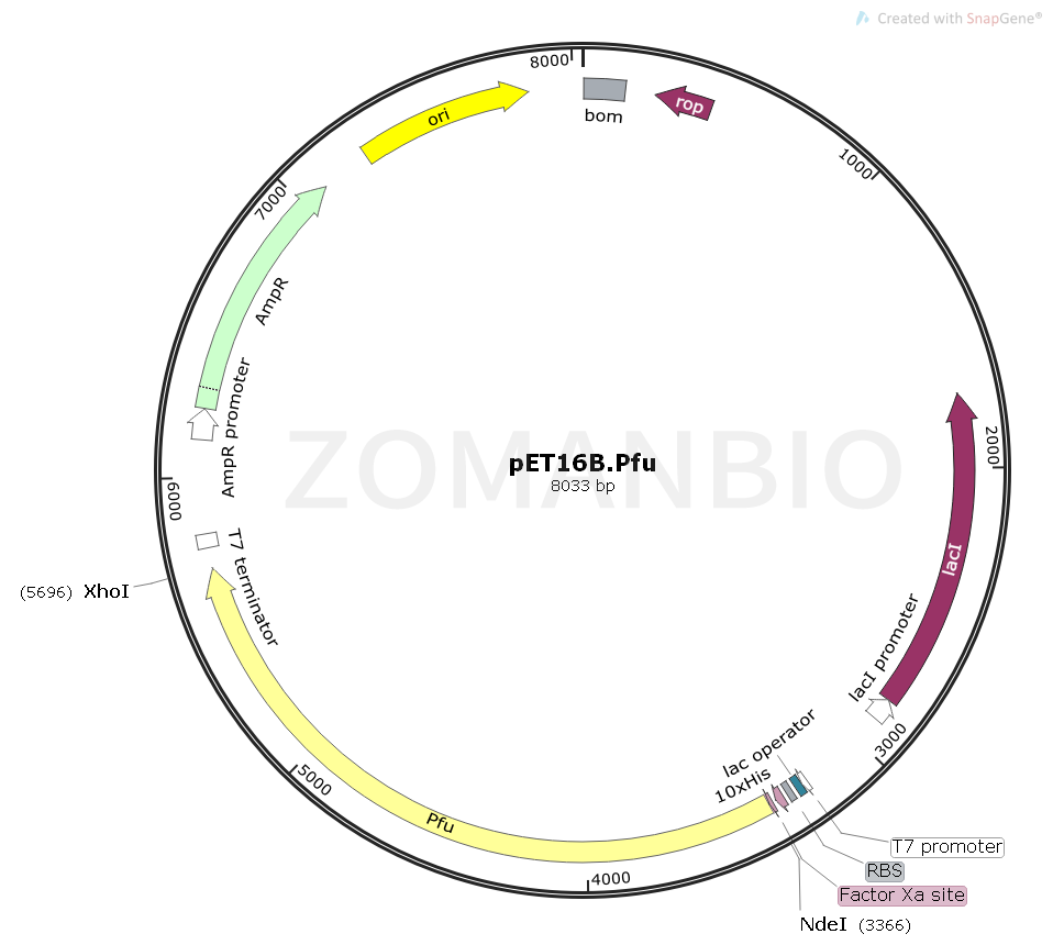 ZK1153pET16B.Pfu.png